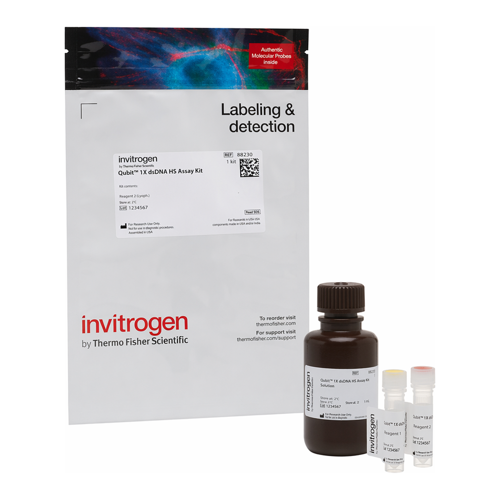 Thermo Fisher Scientific Qubit 1X dsDNA HS Assay Kit, 100 assays