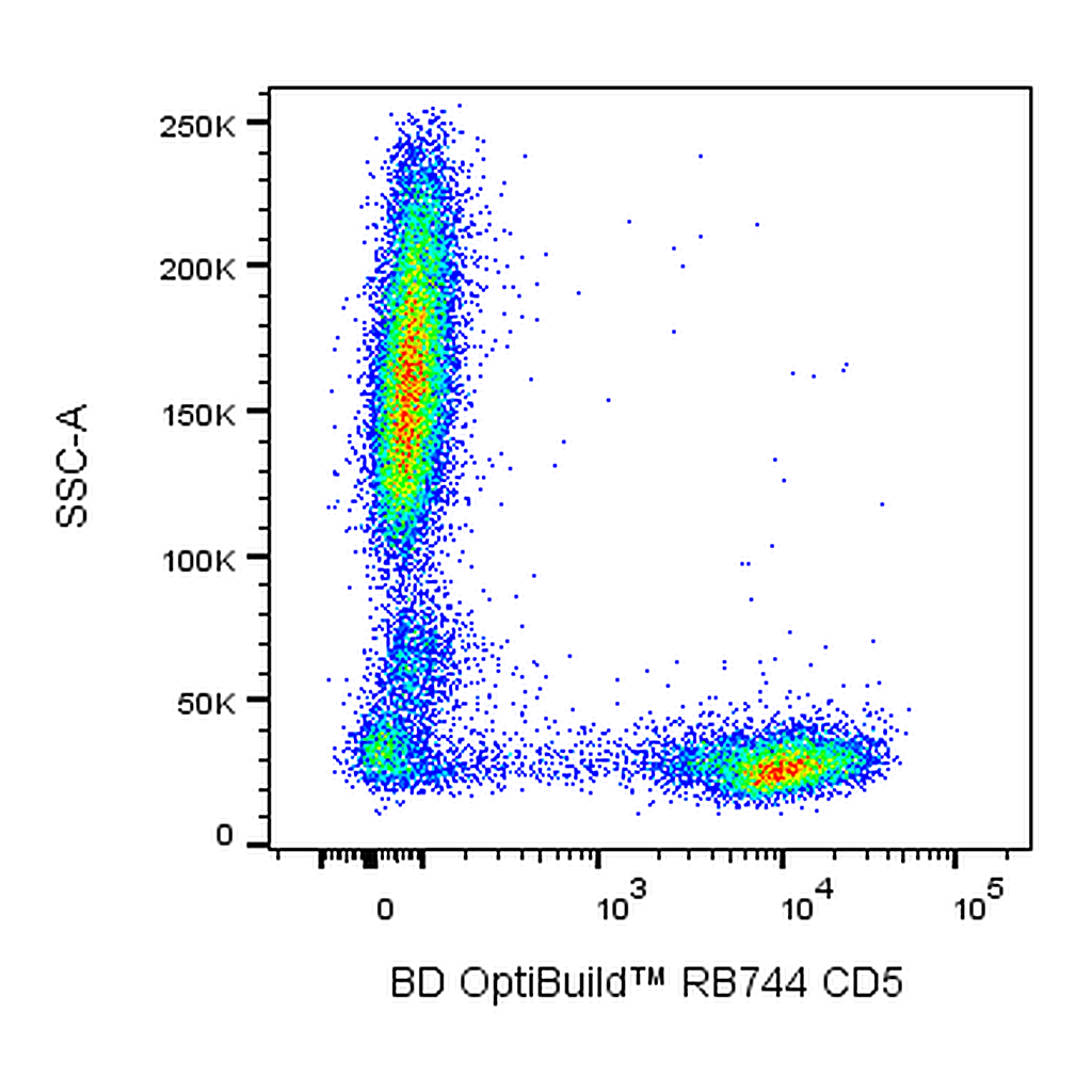 BD RB744 Mouse Anti-Human CD5