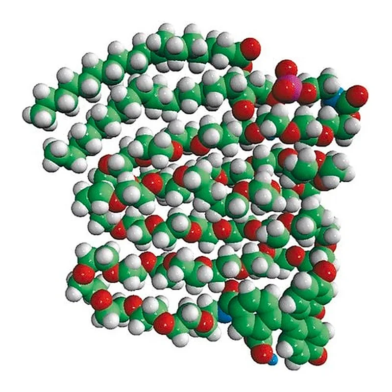 Merck 18:0 PEG2000 PE CF