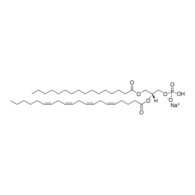 Merck 16:0-20:4 PA