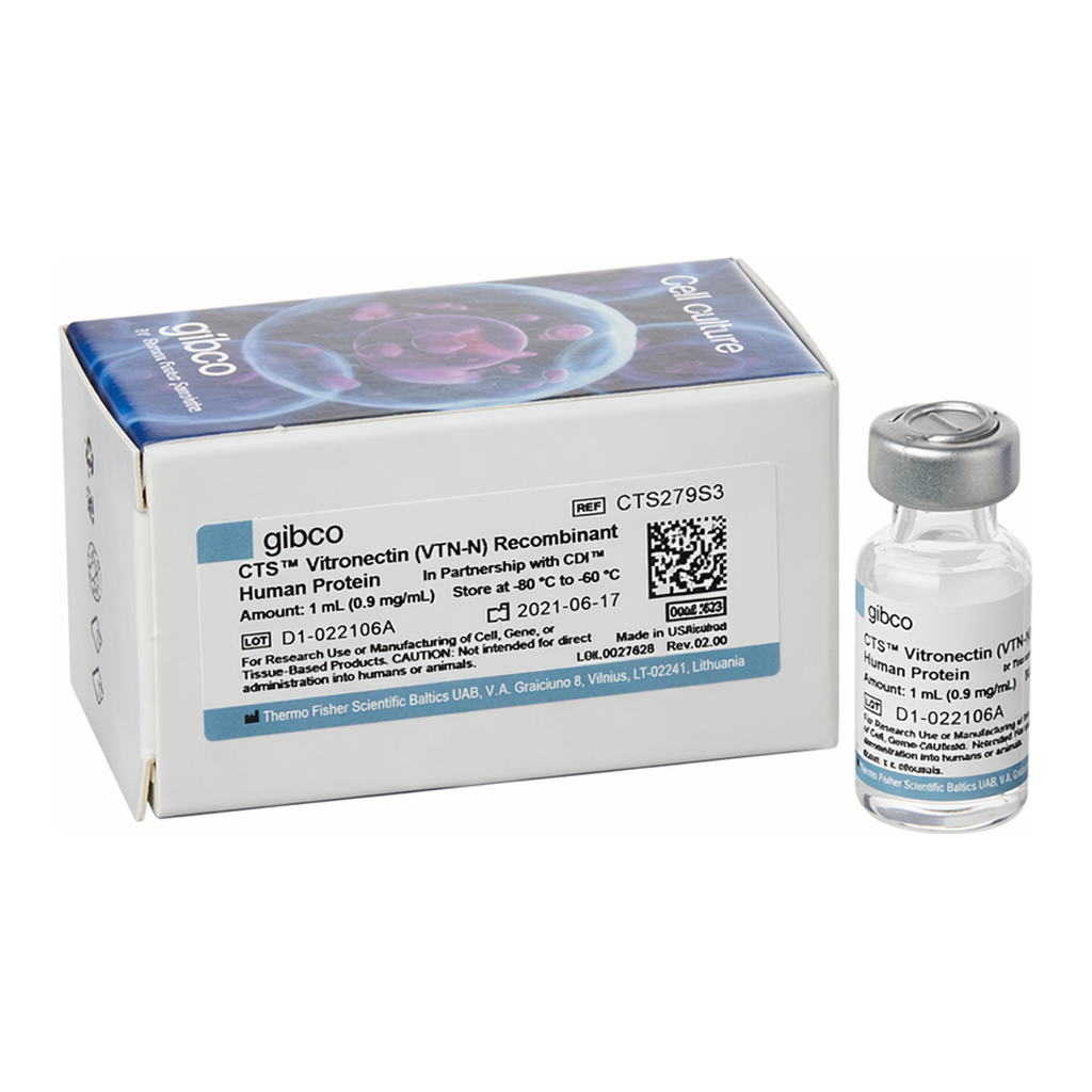 Thermo Fisher Scientific CTS Vitronectin (VTN-N) Recombinant Human Protein, truncated