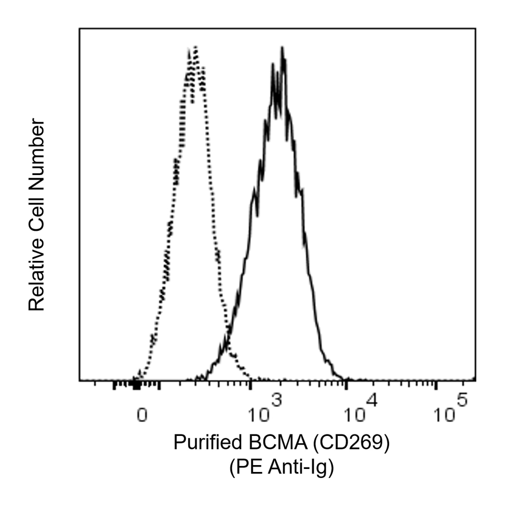 BD Purified Mouse Anti-Human BCMA (CD269)