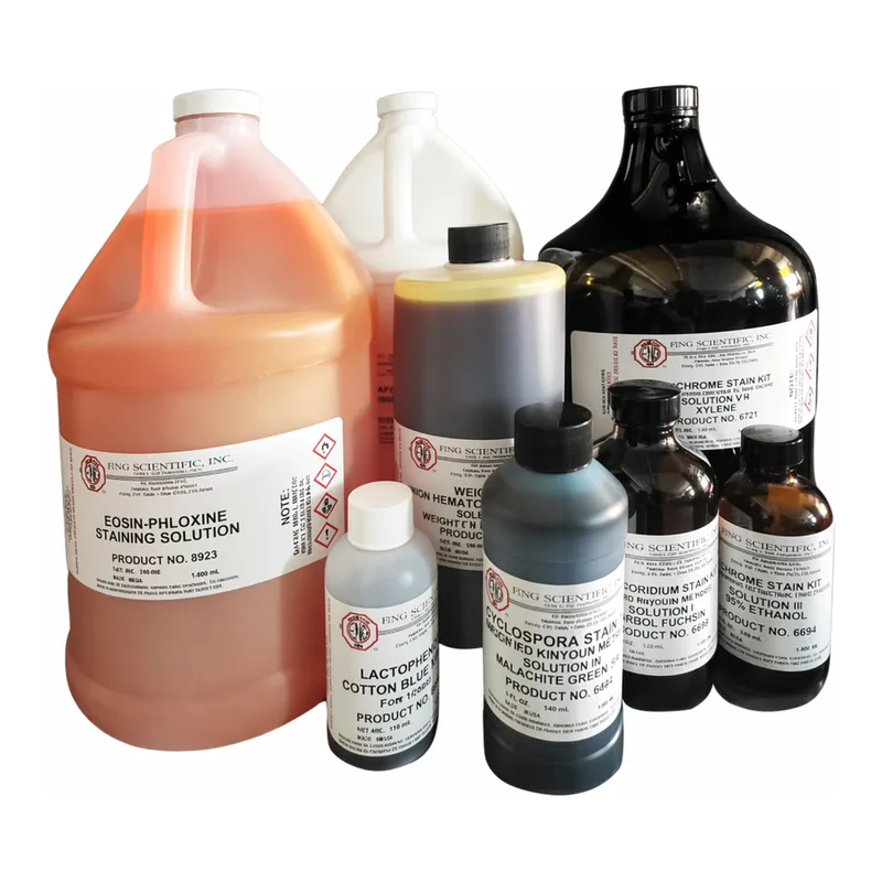 Thermo Fisher Scientific Verhoeff`s Elastic Tissue Stain Kit