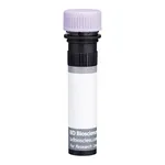 BD BUV395 Mouse Anti-Rat Macrophage Subset