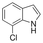 Merck 7-Chloroindole