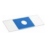 Thermo Fisher Scientific Dynabeads Spot-On Slides