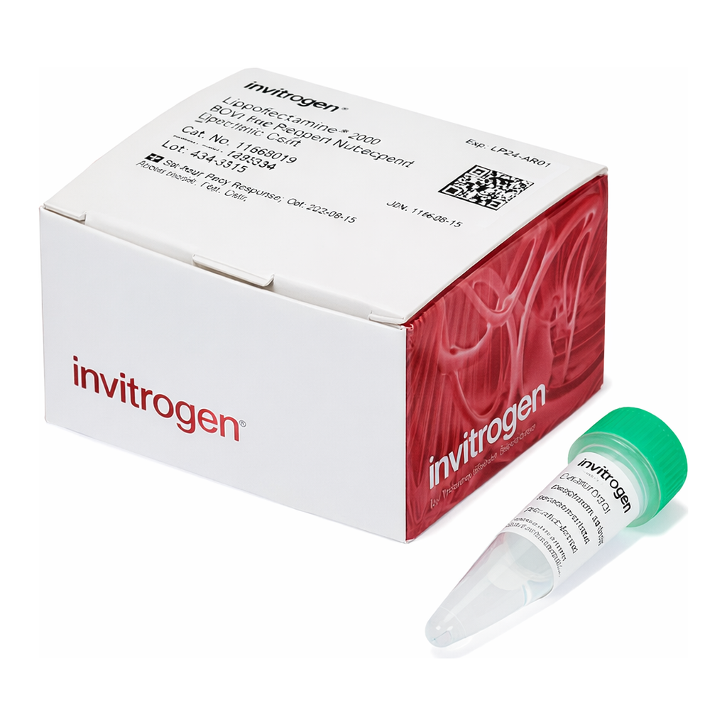 Thermo Fisher Scientific Lipofectamine MessengerMAX Transfection Reagent, 0.1 mL