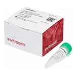 Thermo Fisher Scientific Lipofectamine MessengerMAX Transfection Reagent, 0.1 mL