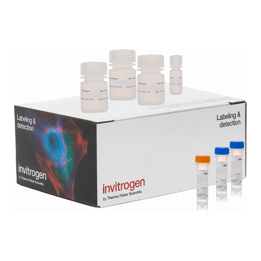 Thermo Fisher Scientific Click-iT Plus EdU Cell Proliferation Kit for Imaging, Alexa Fluor 647 dye