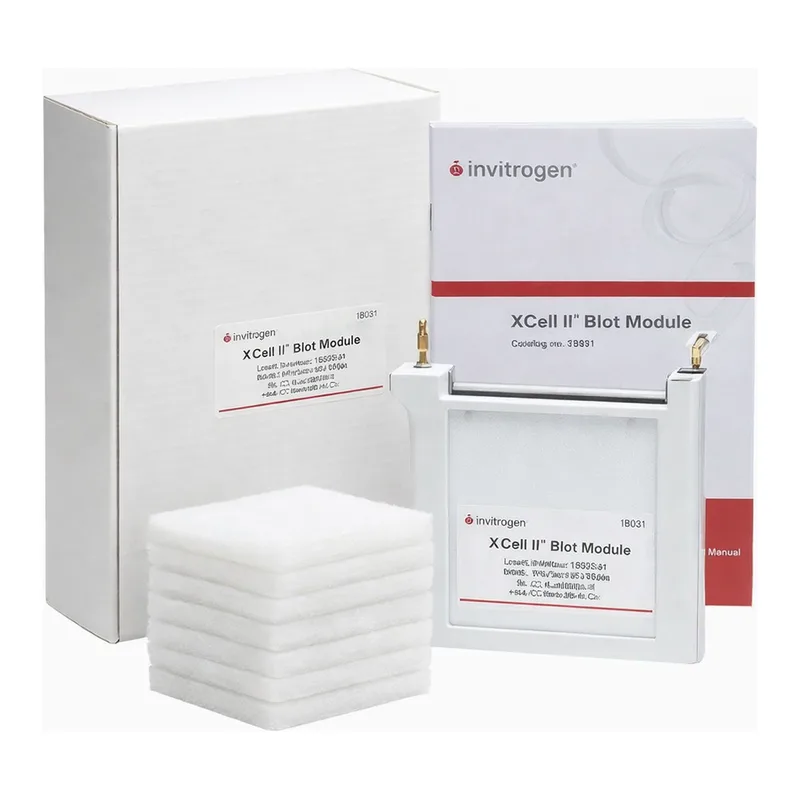 Thermo Fisher Scientific XCell II Blot Module