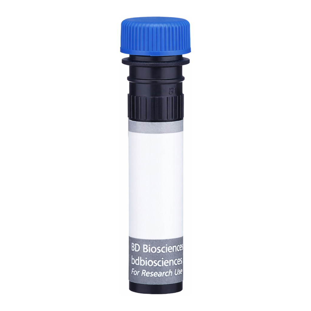 BD BUV496 Rat Anti-Mouse GITR Ligand