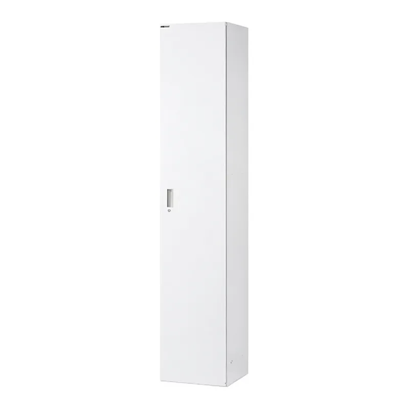 AS ONE Select Lab (W450 Single Door Tall) 450 x 450 x 2100