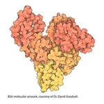 Merck PROTEIN STANDARD, MICRO STANDARD, LIQUID