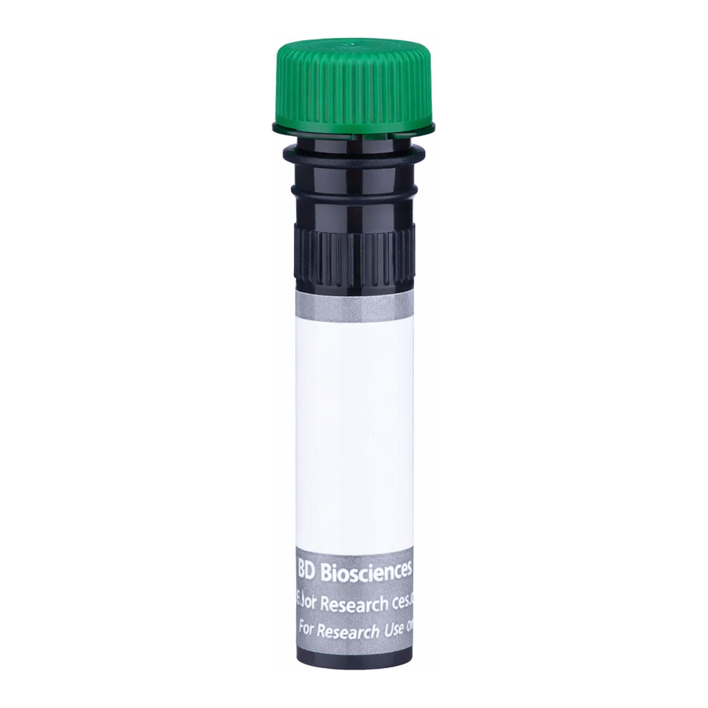BD BUV563 Mouse Anti-Rat β2 Microglobulin