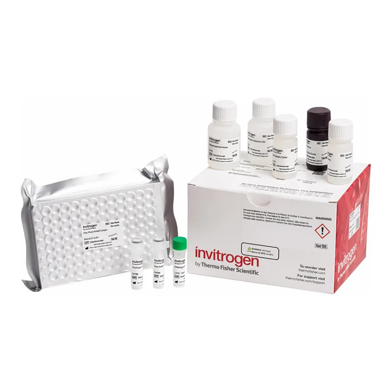 Thermo Fisher Scientific Human IGF-1 Rapid ELISA Kit
