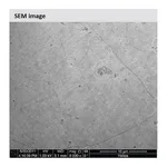 Merck Monolayer graphene film