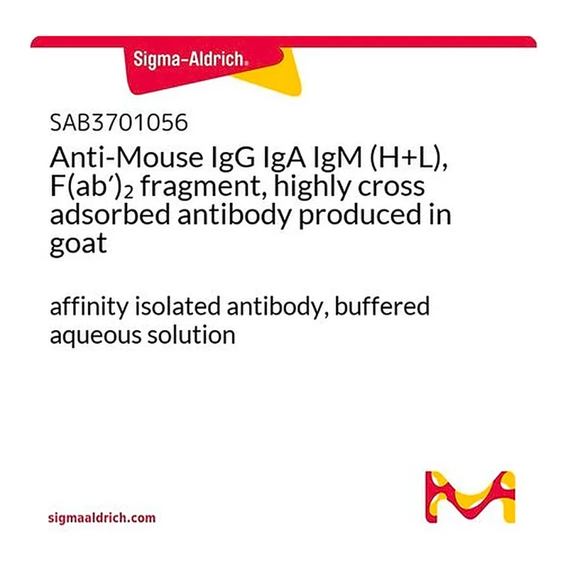 Merck Anti-Mouse IgG IgA IgM (H+L), F(ab')2 fragment, highly cross adsorbed antibody produced in goat