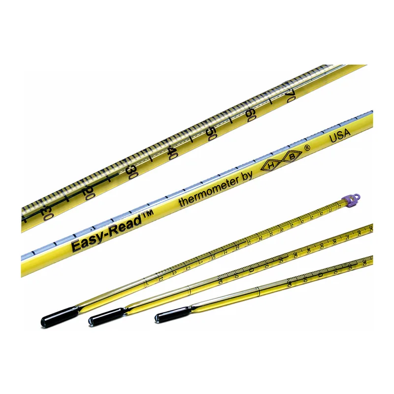 Merck Easy-Read(R) thermometer