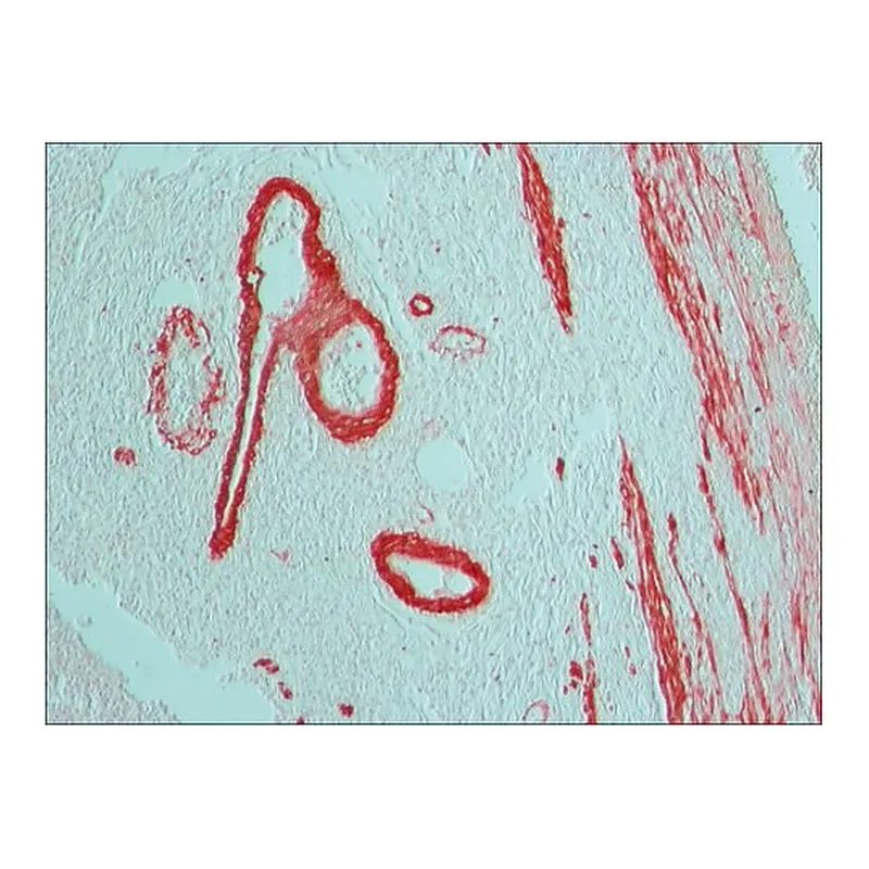 Merck GOAT ANTI-MOUSE IGG (FAB SPECIFIC)