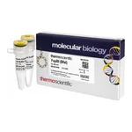 Thermo Fisher Scientific FspBI (BfaI) (10 U/μL), 500 units