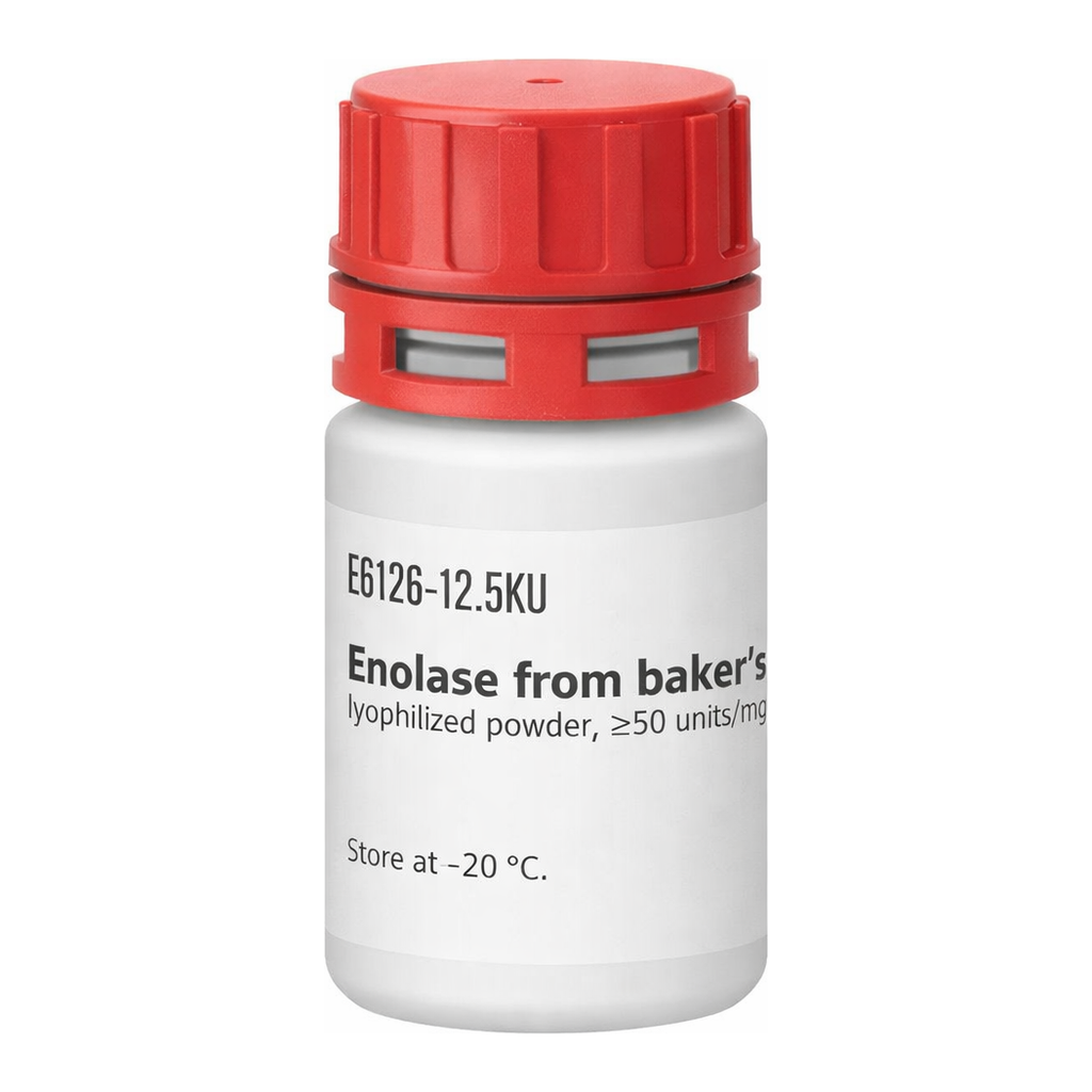Merck ENOLASE FROM BAKERS YEAST