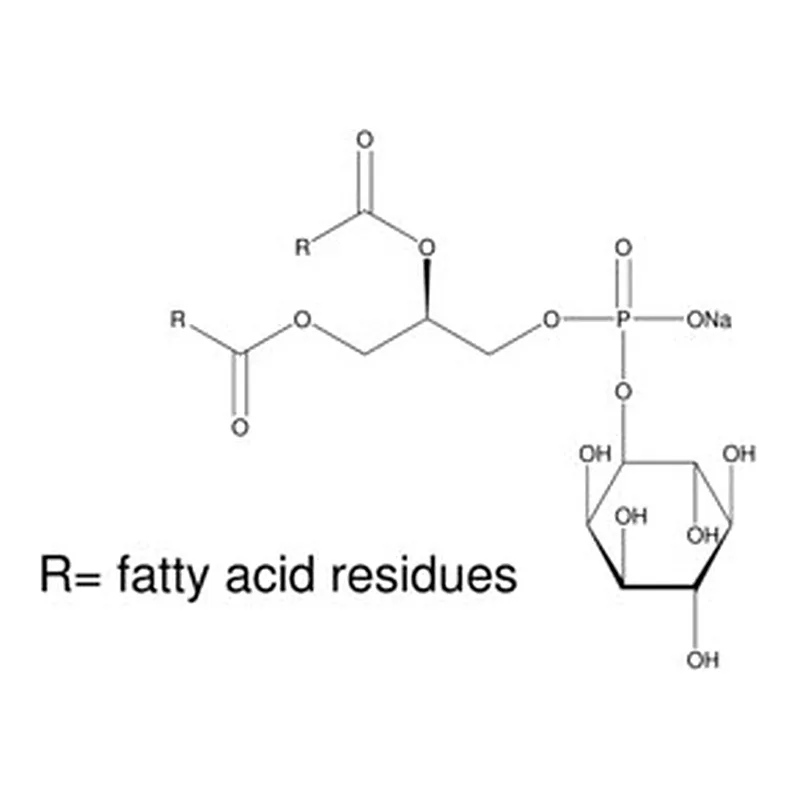Merck L-A-PHOSPHATIDYLINOSITOL SODIUM FROM &