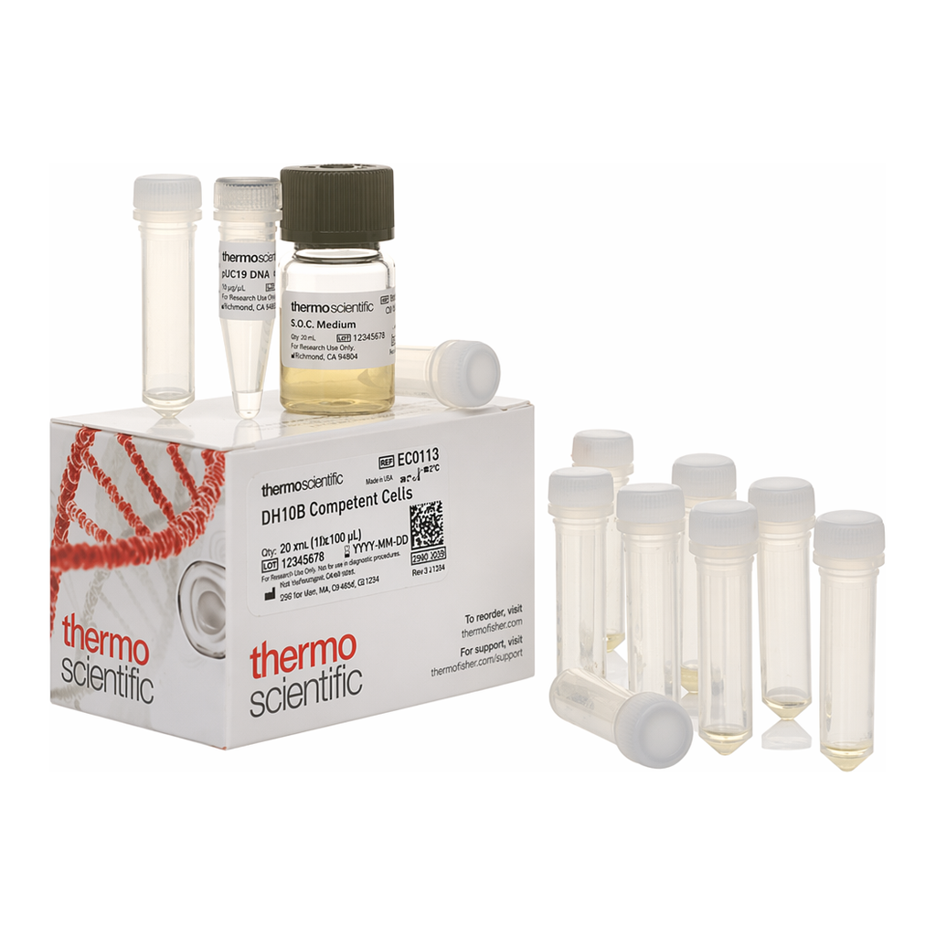 Thermo Fisher Scientific DH10B Competent Cells