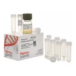 Thermo Fisher Scientific DH10B Competent Cells