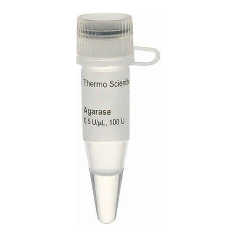 Thermo Fisher Scientific Agarase (0.5 U/μL)