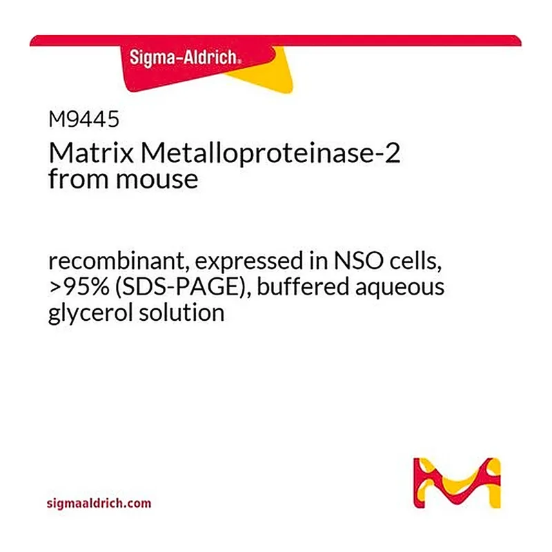 Merck Matrix Metalloproteinase-2 from mouse