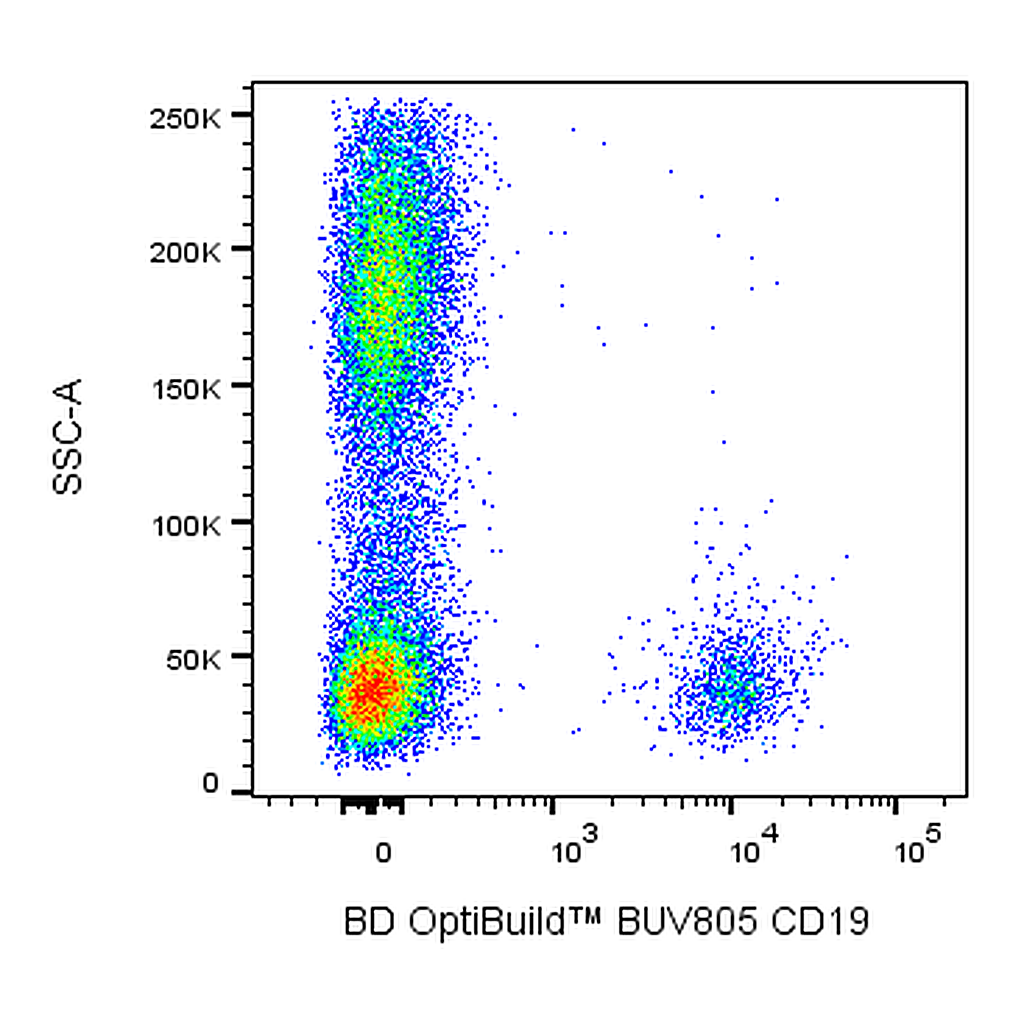 BD BUV805 Mouse Anti-Human CD19
