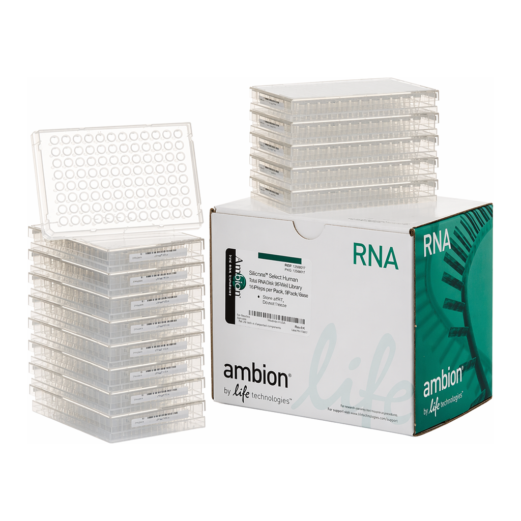 Thermo Fisher Scientific Silencer Select Human Cell Cycle Regulation siRNA Library