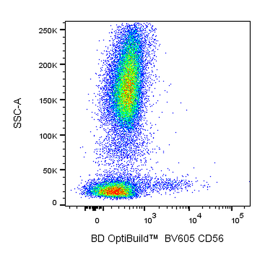 BD BV605 Mouse Anti-Human CD56 (NCAM-1)