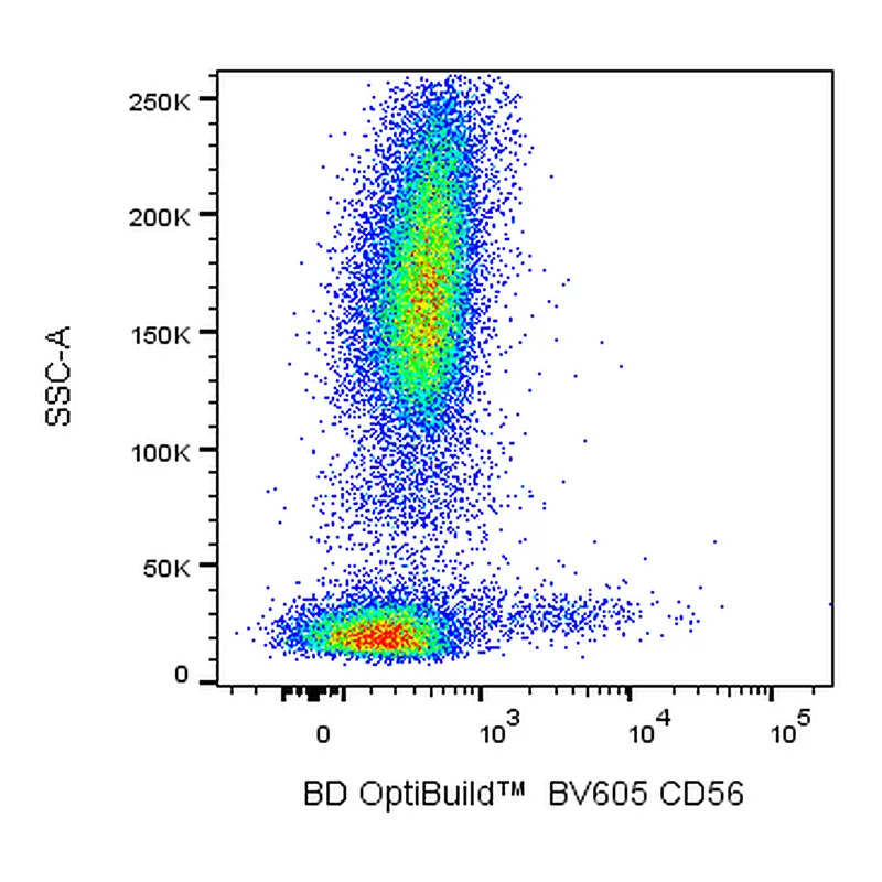 BD BV605 Mouse Anti-Human CD56 (NCAM-1)