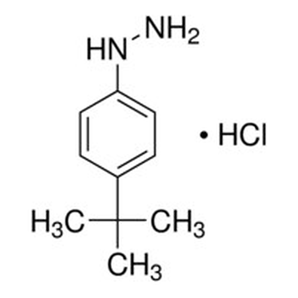 Merck 4-TERT-BUTYLPHENYLHYDRAZINE HYDROCHLORI&