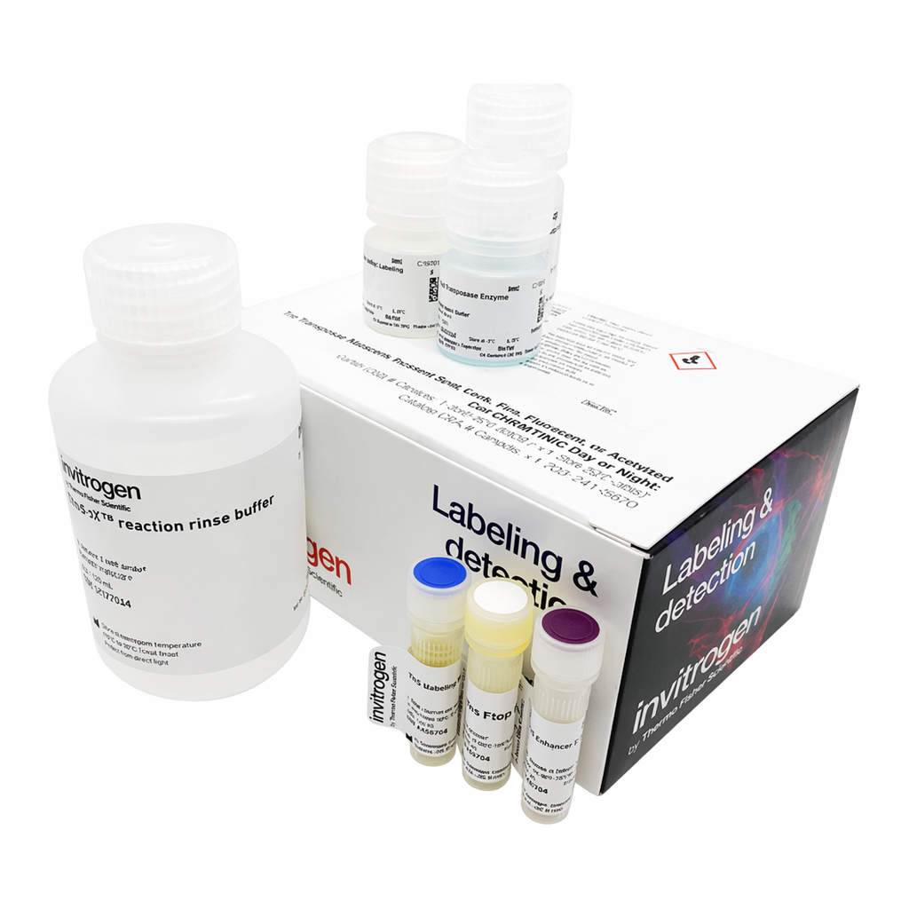 Thermo Fisher Scientific Click-iT EdU Alexa Fluor 594 HCS Assay, 2 x 96 well plates