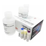 Thermo Fisher Scientific Click-iT EdU Alexa Fluor 594 HCS Assay, 2 x 96 well plates