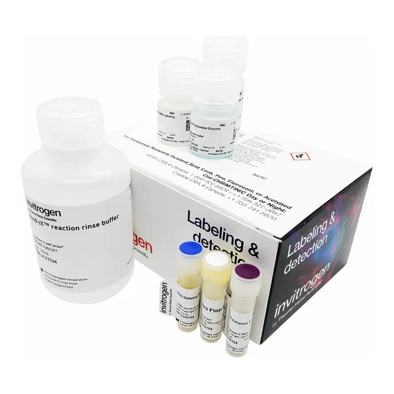 Thermo Fisher Scientific Click-iT EdU Alexa Fluor 594 HCS Assay, 2 x 96 well plates