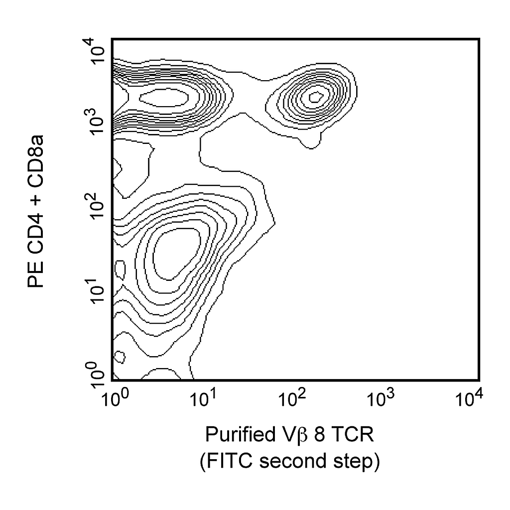 BD Purified Mouse Anti-Mouse Vβ 8 T-Cell Receptor