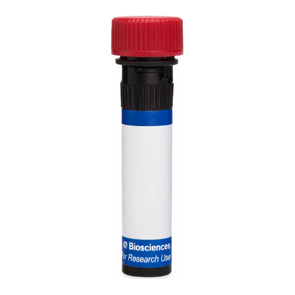 BD RB670 Mouse Anti-Human CD116 (GM-CSF Receptor α)