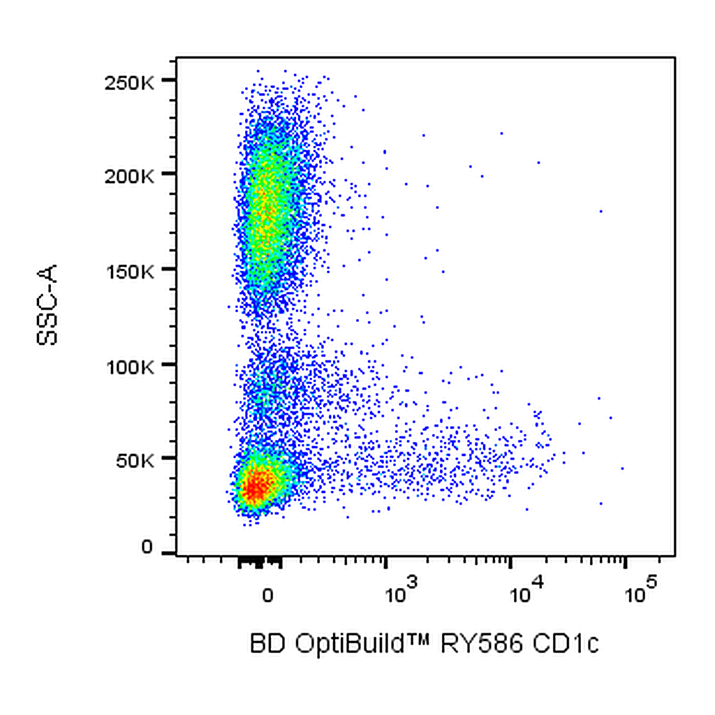 BD RY586 Mouse Anti-Human CD1c