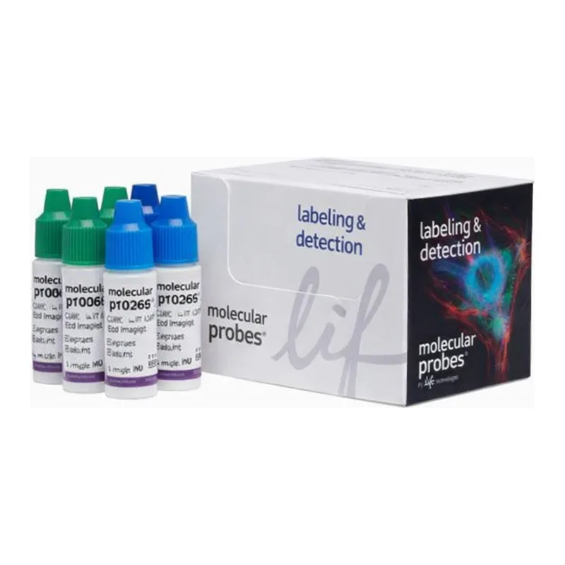 Thermo Fisher Scientific ReadyProbes Cell Viability Imaging Kit, Blue/Green