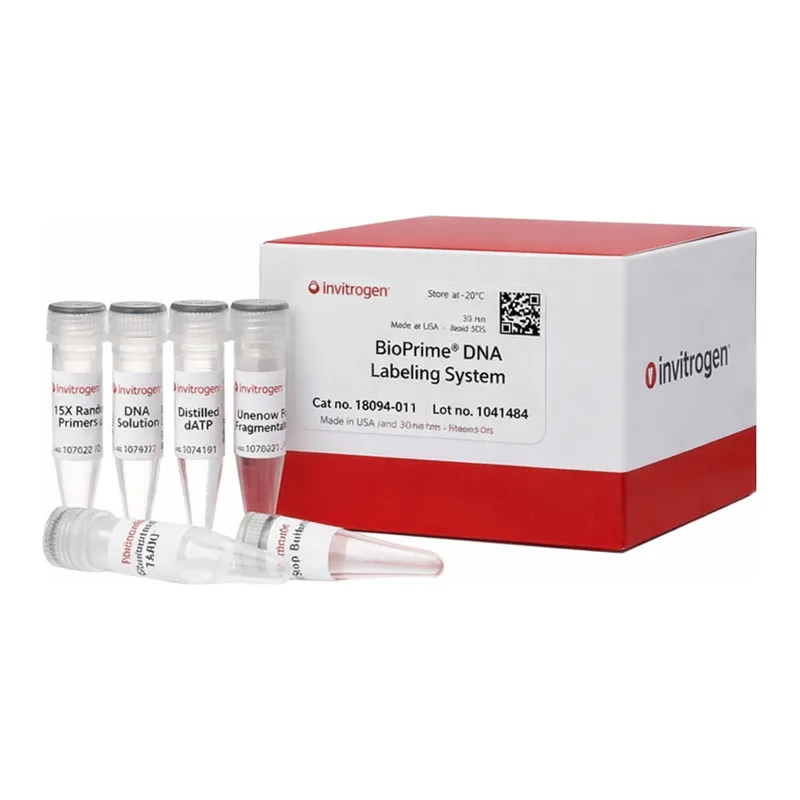 Thermo Fisher Scientific BioPrime DNA Labeling System