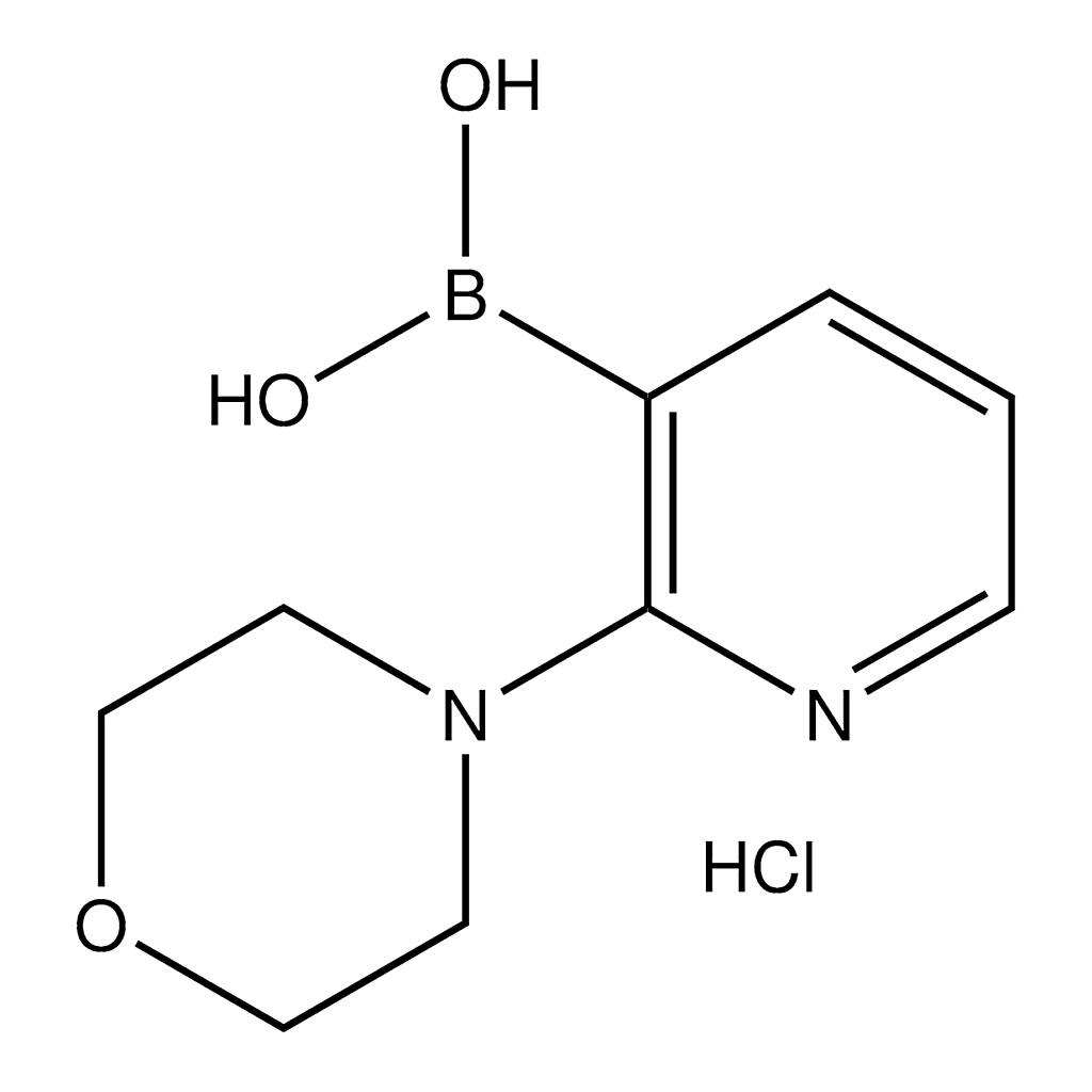 Merck 2-Morpholinopyridine-3-boronic acid hydrochloride