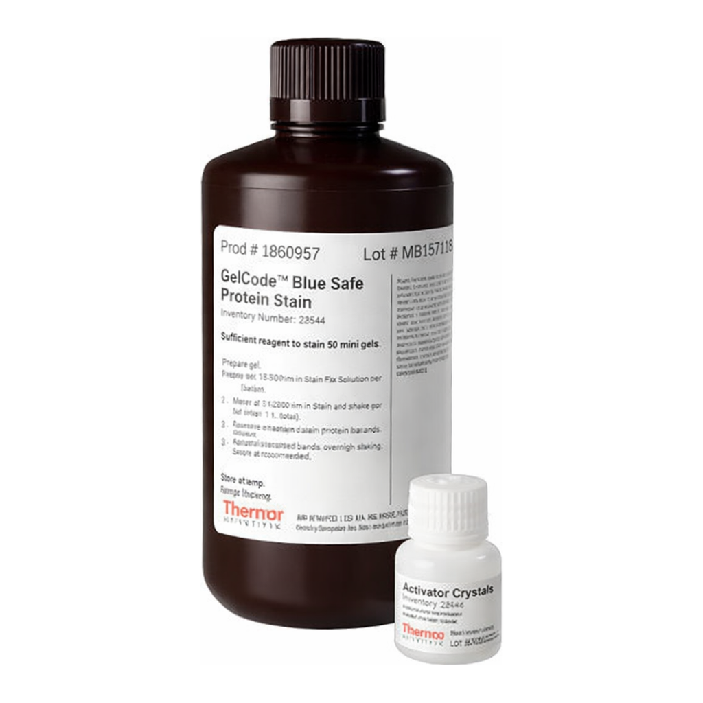 Thermo Fisher Scientific GelCode Blue Safe Protein Stain, 1 L