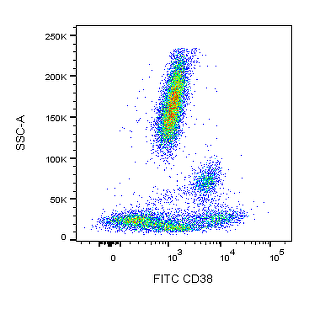 BD FITC Mouse Anti-Human CD38