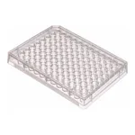 VWR Multiwell cell culture plates, VWR