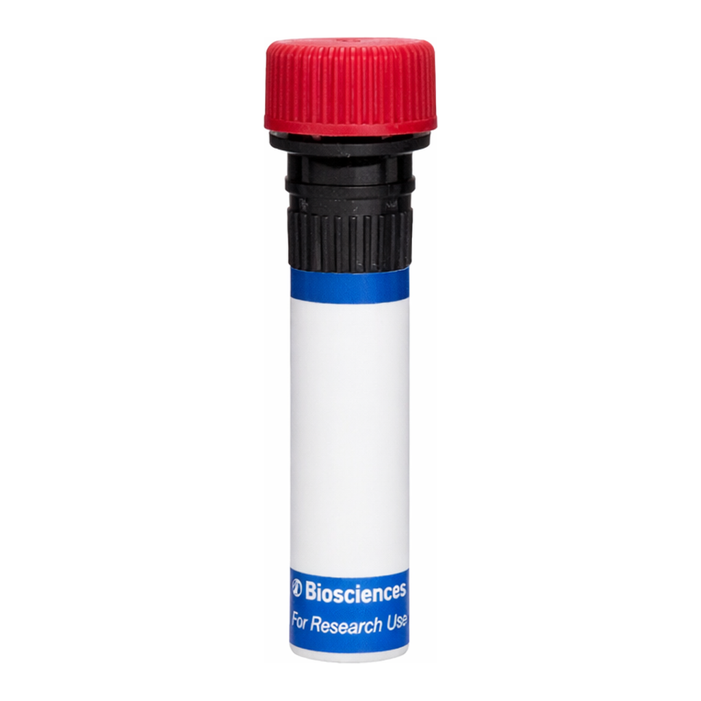 BD RB670 Mouse Anti-Rat CD61 (Integrin β3)