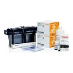 Thermo Fisher Scientific NuPAGE Bis-Tris Welcome Pack, 4 to 12%, 10-well, 1 Welcome Pk. kit