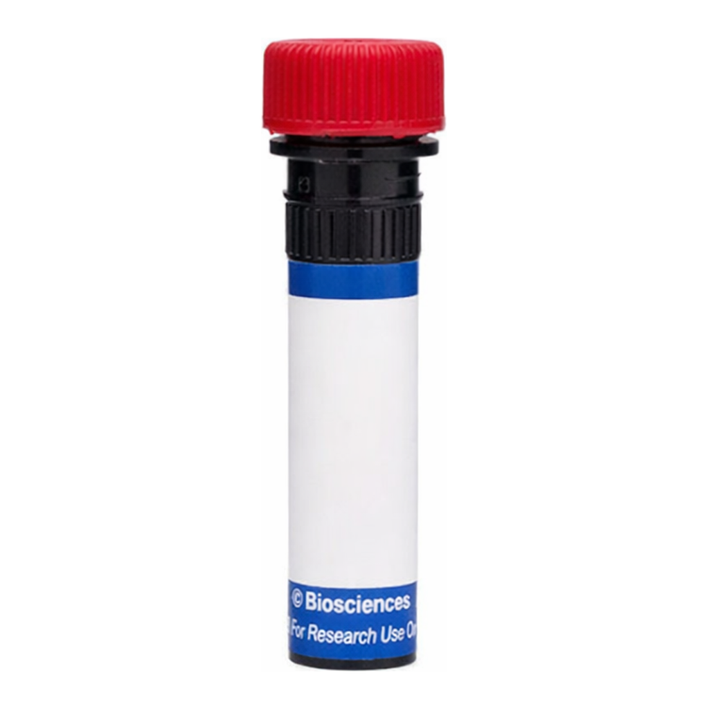 BD PE Rat Anti-Mouse TER-119/Erythroid Cells